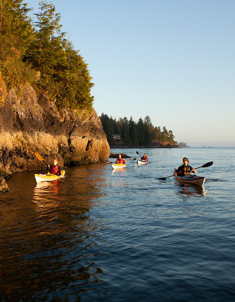 Seak Kayaking Tofino Canada